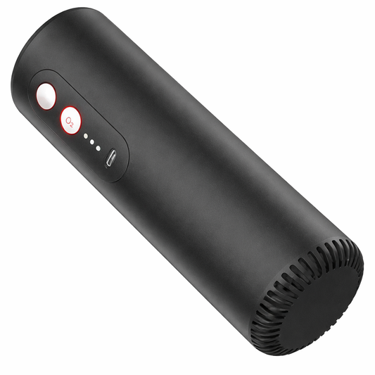Ozone + Anion Air Filter Home Car Portable Air Freshener Purifier