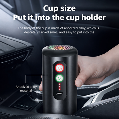 Ozone + Anion Air Filter Home Car Portable Air Freshener Purifier